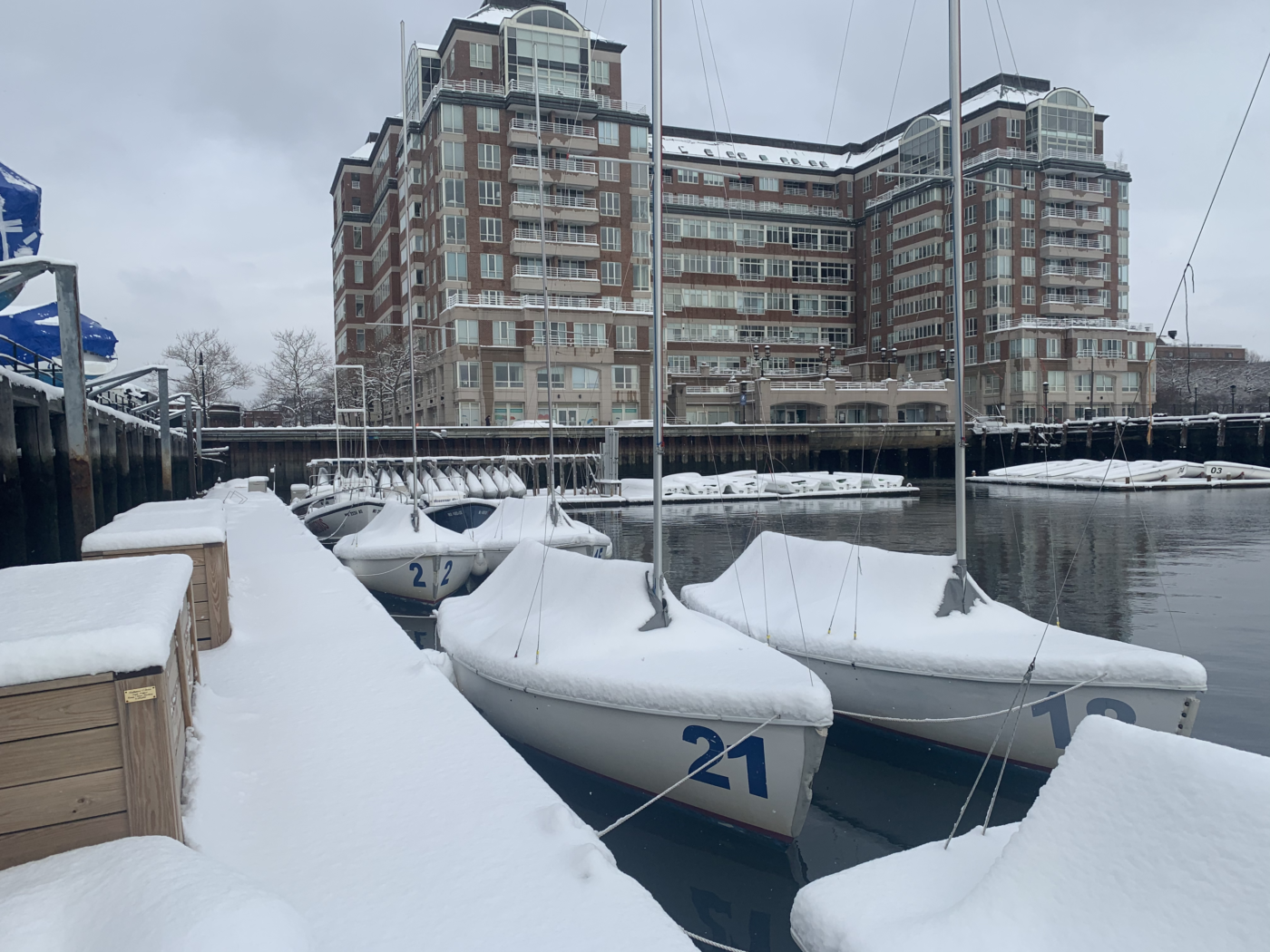 Frostbiting Week 12 Snowy Dock
