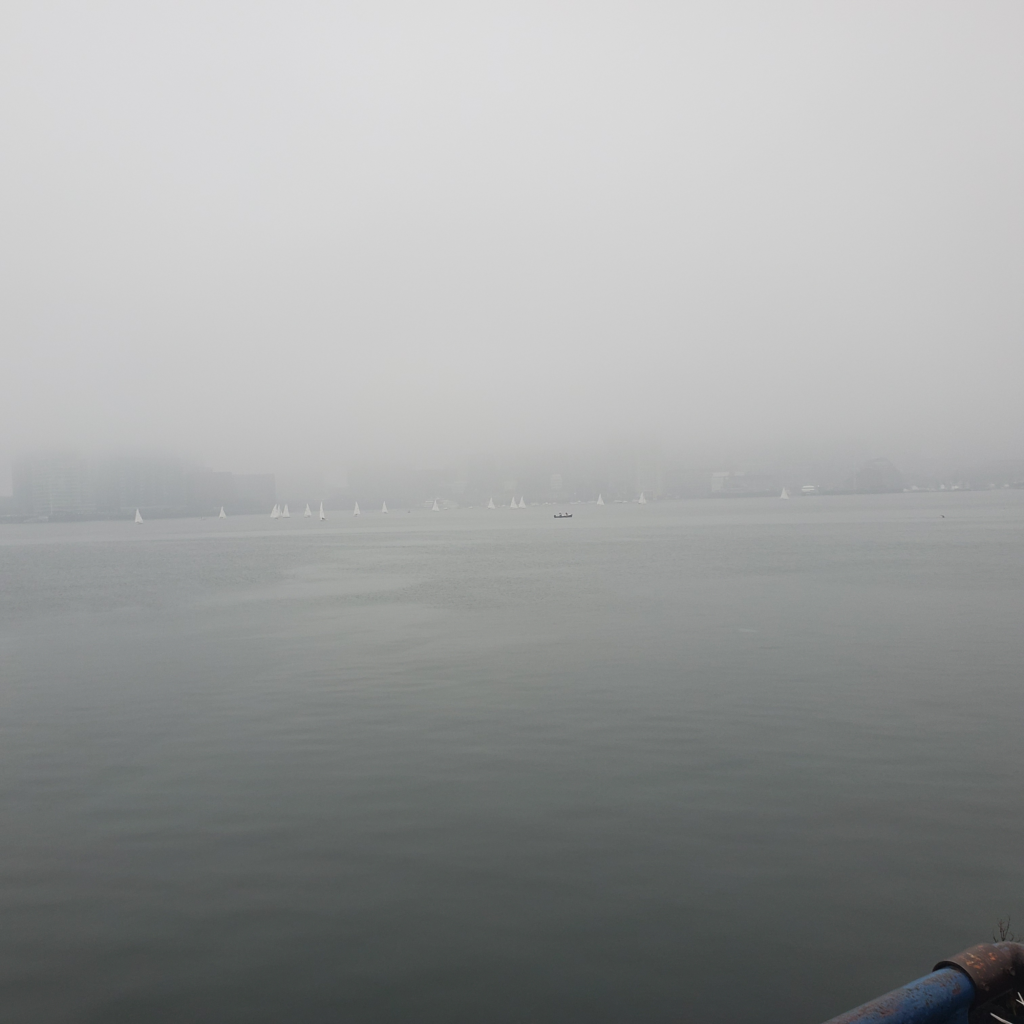 Frostbiting Week 4 Foggy Harbor